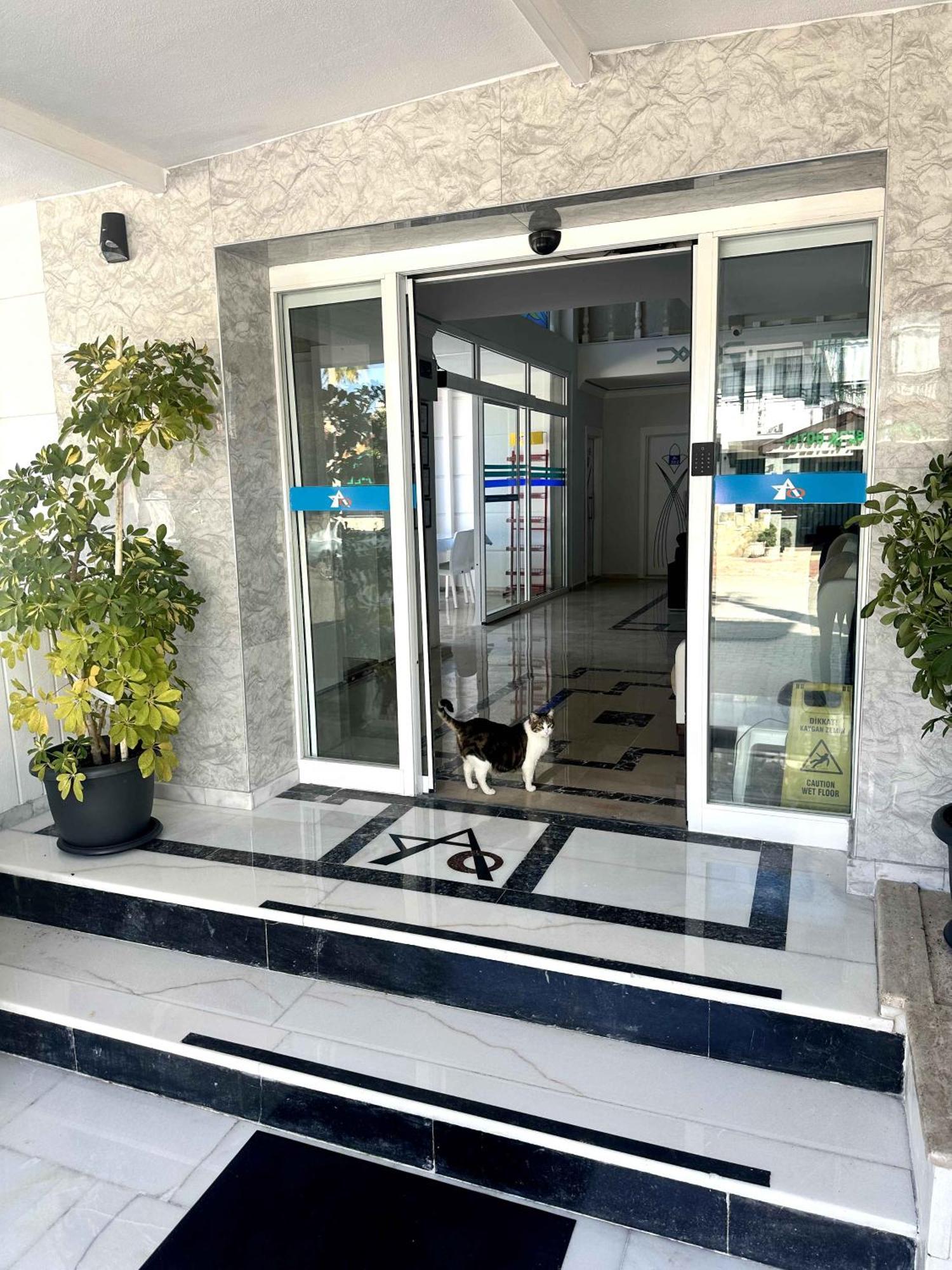 Amsterdam Otel Economic Room Kemer Eksteriør bilde